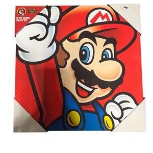 Super Mario Canvas Art 12x12 - some scratches